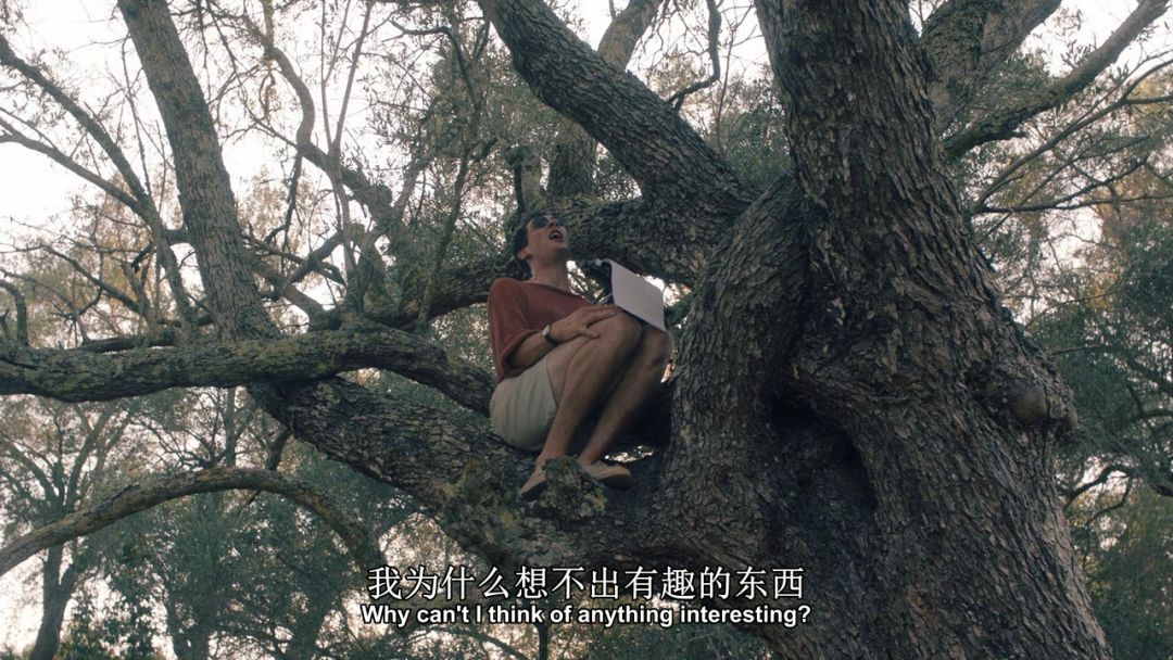 豆瓣9.8,1个寡妇带4个熊孩子,为啥都过得比我爽?