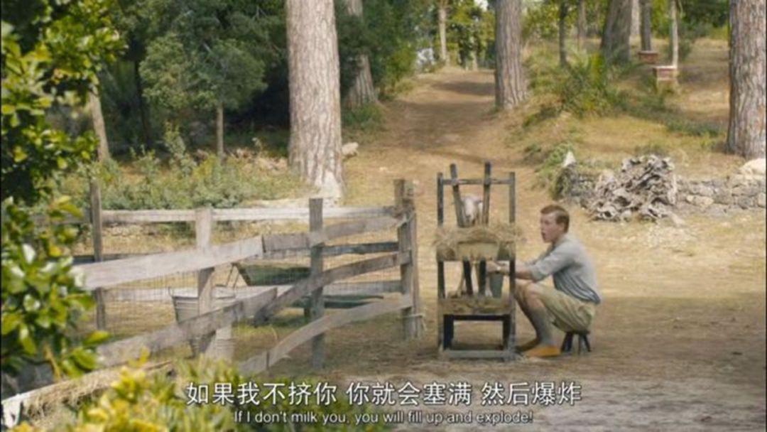 豆瓣9.8,1个寡妇带4个熊孩子,为啥都过得比我爽?