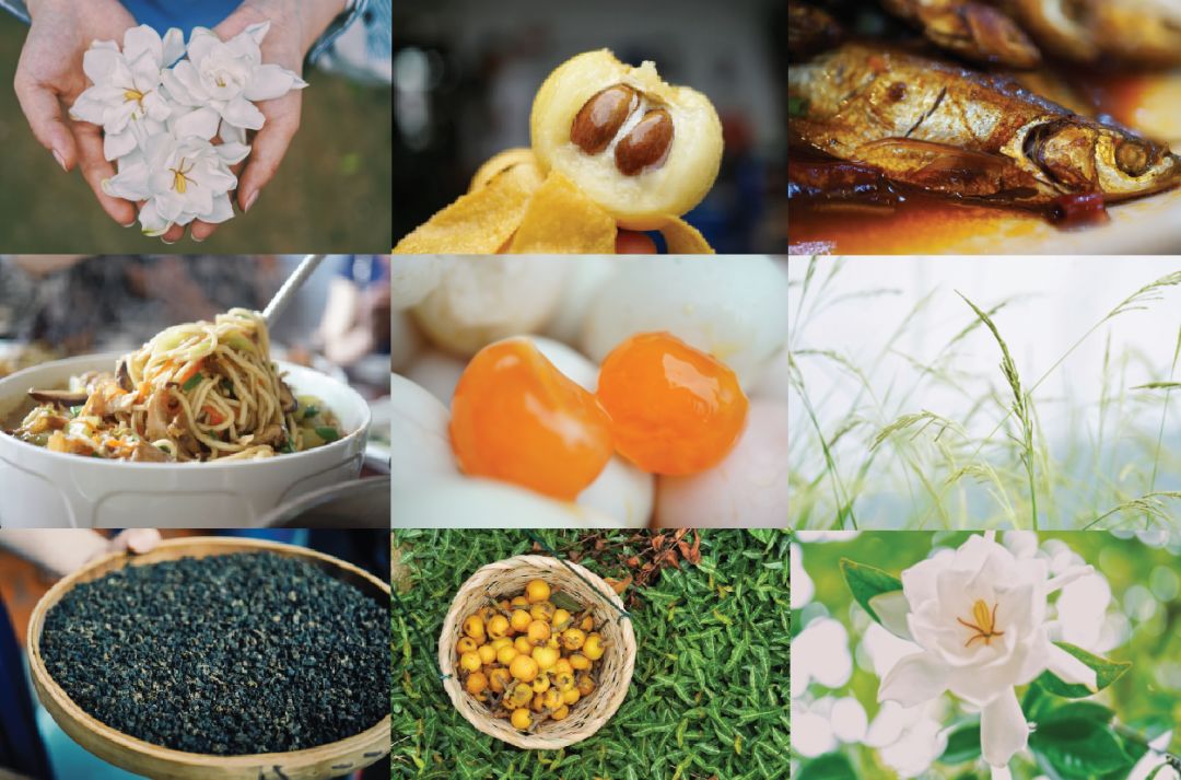 五月种草季,五月种草的护肤品