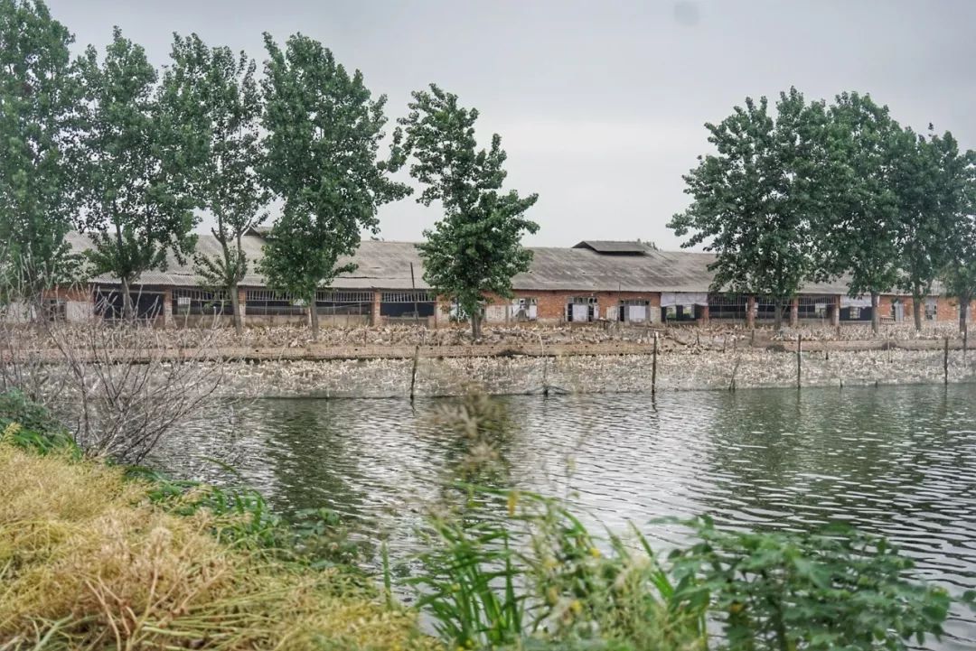 五月种草,五月种草长沙