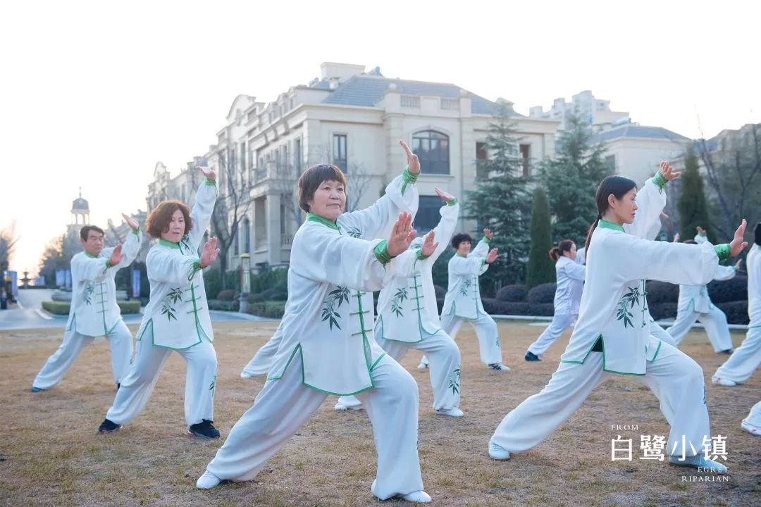 白鹭小镇夏日系列,白鹭小镇活动
