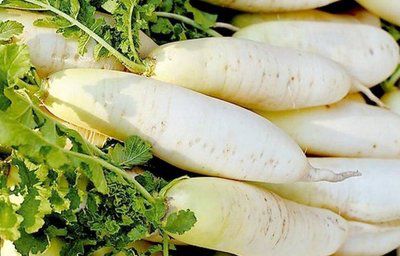 喉炎咳嗽和普通咳嗽的区别,耳鼻喉痒是过敏引起的吗