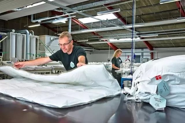 丹麦枕头哪个牌子好,丹麦皇室枕头