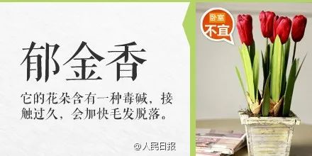 碰一下就会中毒的物质有哪些,毒物碰一下就中毒