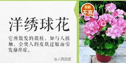 崇左人注意！碰了一下就中毒，严重者可致命！这个毒物很多人家里有！