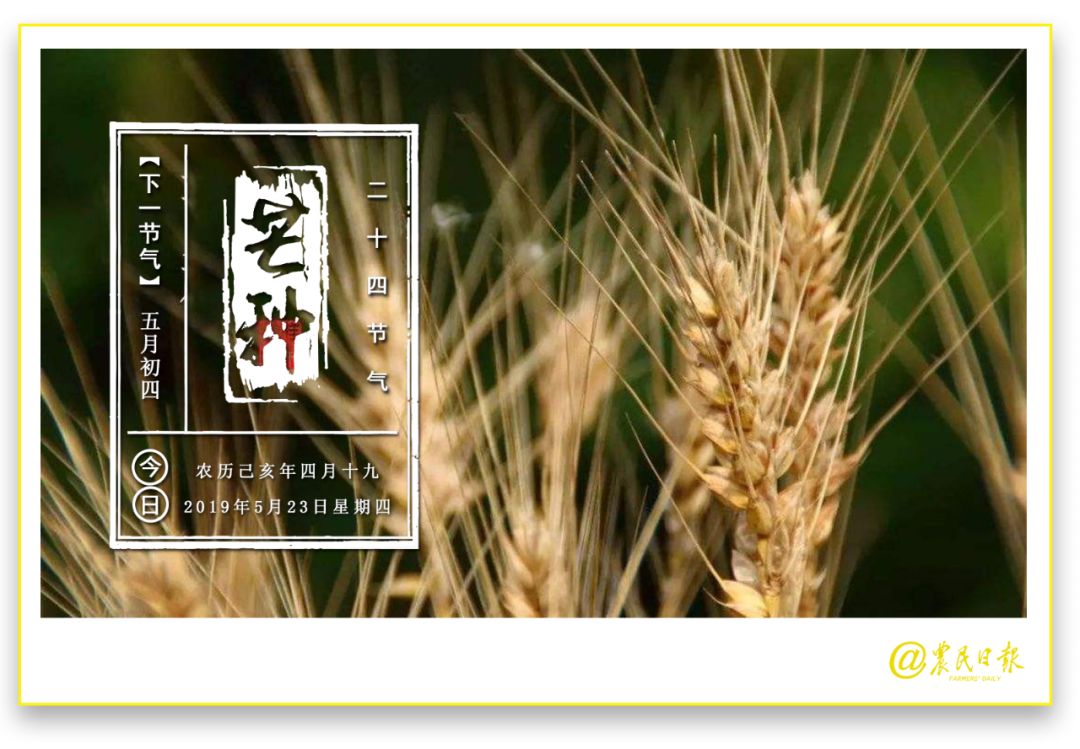 “种草经济”为啥这么火？