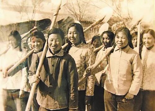 大坪的“绿色步伐——来自安定区青岚乡大坪村的蹲点报告