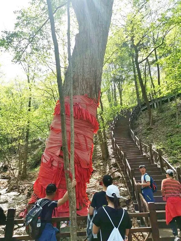 吉林滑雪场日出,吉林夏季营业滑雪场