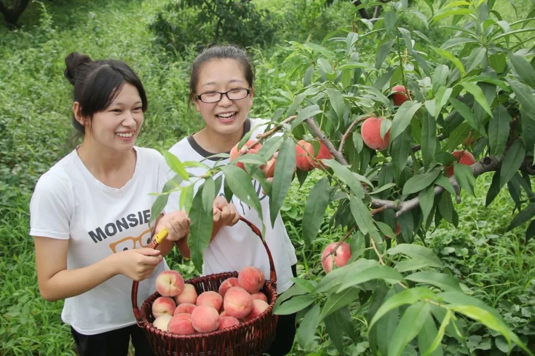 丰润游玩推荐一日游,春节期间唐山旅游攻略