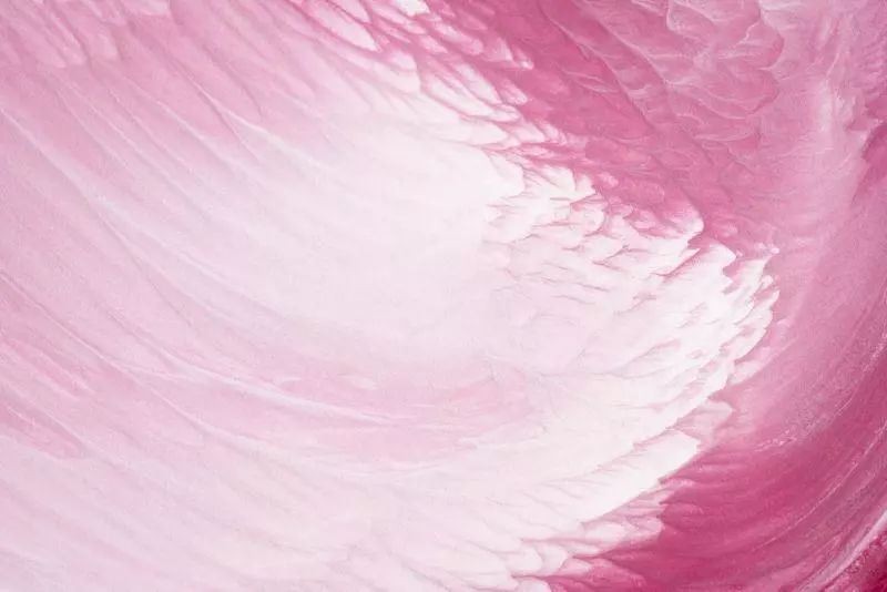 寻香|还原派VS颠覆派？诶呦~想不到这花还有两副面孔！（上）