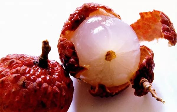 寻香|还原派VS颠覆派？诶呦~想不到这花还有两副面孔！（上）