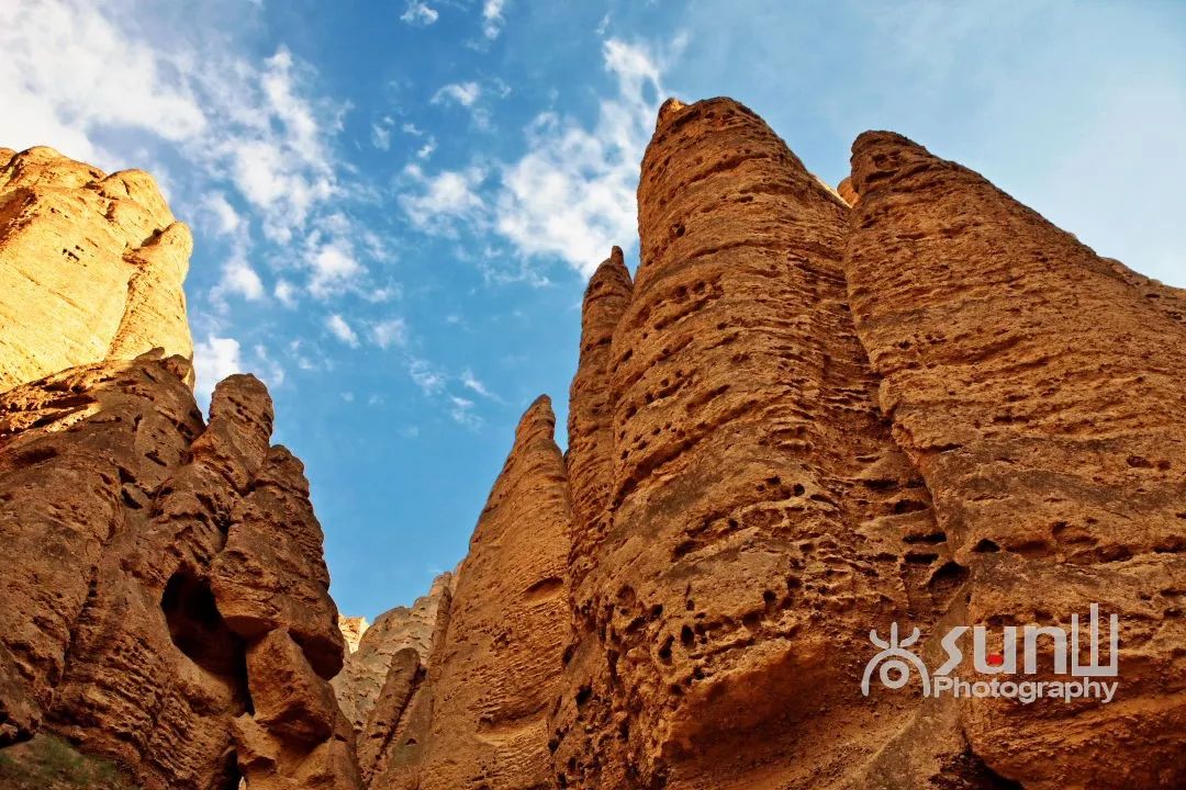 黄河石林奇观大全,黄河石林有多震撼