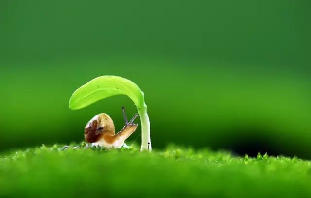 季羡林谈老年十忌,季羡林人到暮年有十忌