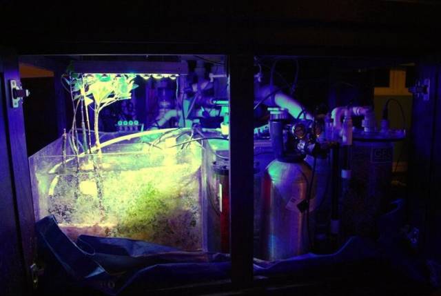 鉴定完毕就是好人吗,鉴定完毕就是亲生的没错了