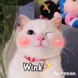 鹤壁新闻网通报,鹤壁新闻网头条新闻