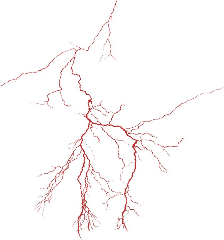 冷知识合集视频,冷知识合集超长