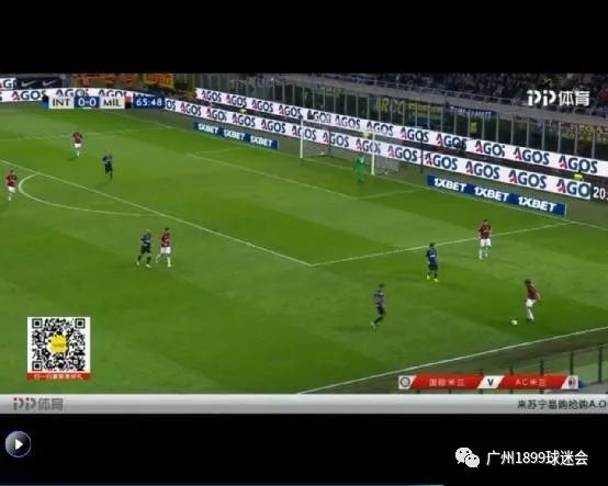 分会的工作总结,分会2020年工作计划