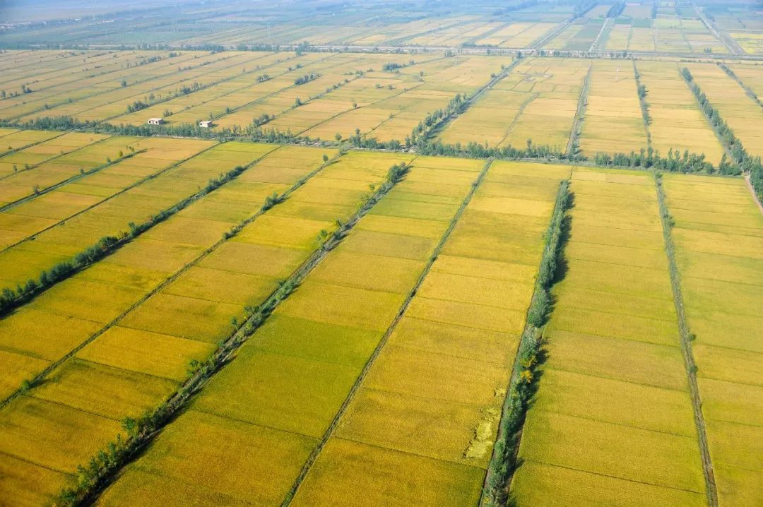 怎么治孩子的懒病,治懒病的最佳搞笑方法