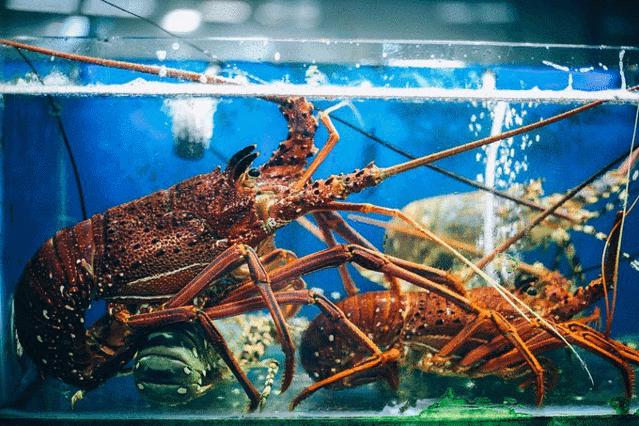 玩转三亚最实用的攻略在这里,三亚休闲之旅吃喝玩乐全攻略