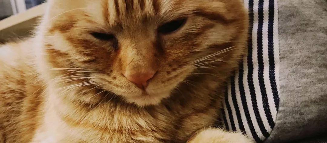 该以怎样的表情,面对周一?|一周新书