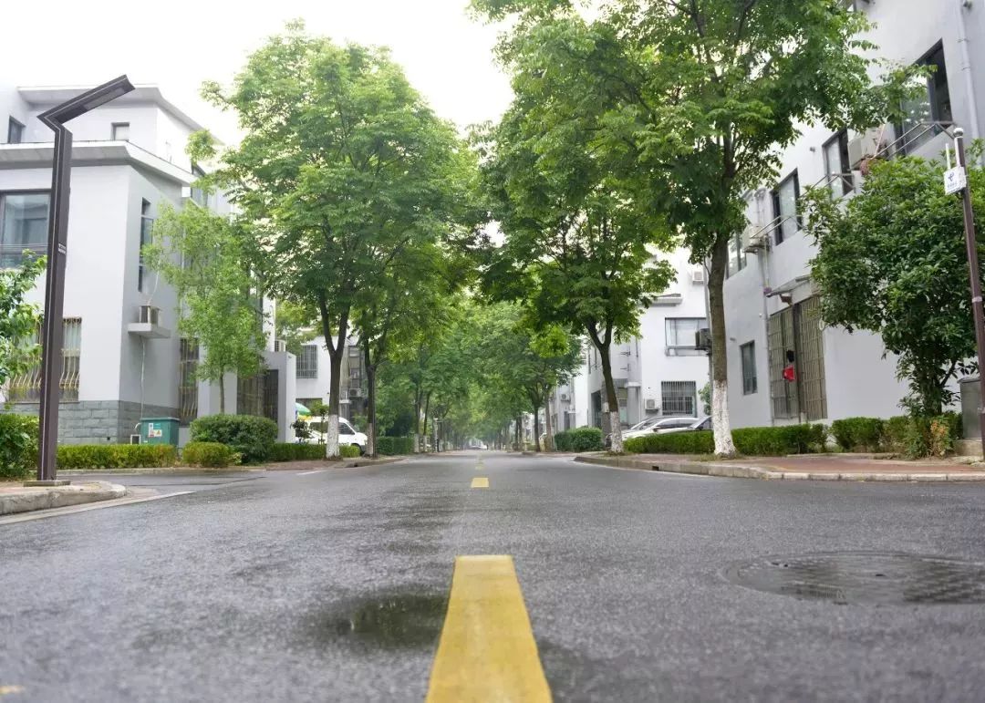 小区整洁的环境让人心情愉悦,小区环境真好看图片