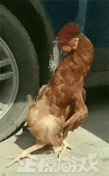 正惊GIF囧图：史上最硬核的学霸，女装大佬是怎么坐地铁的？