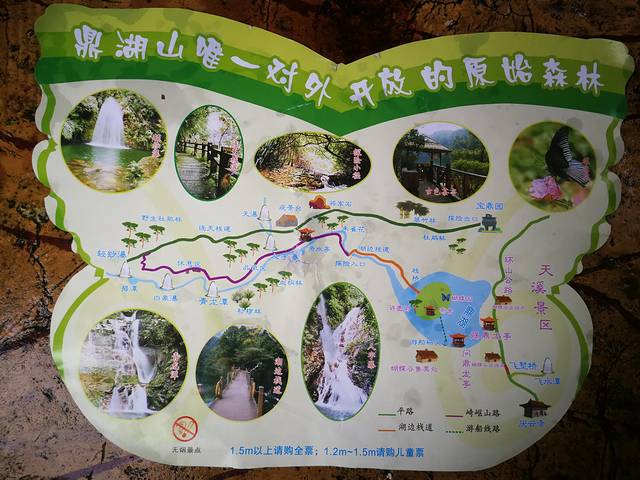 肇庆七星岩鼎湖山自助游,肇庆鼎湖山和七星岩相距多远