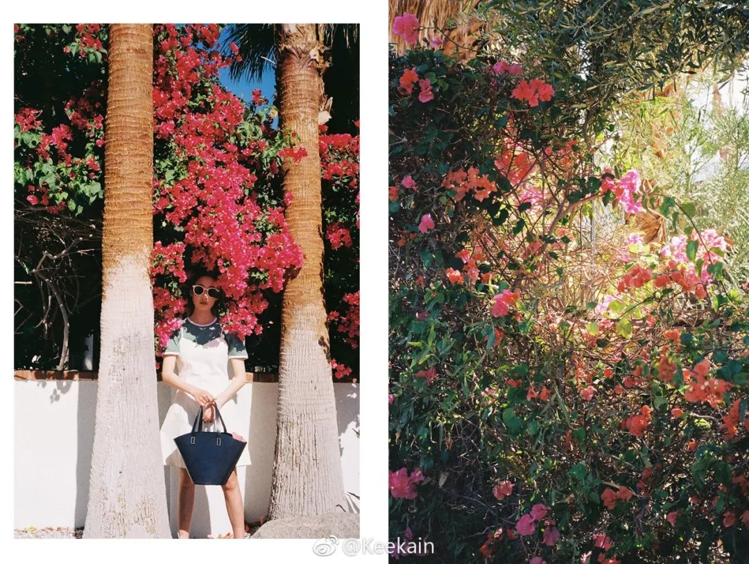 写真馆有什么衣服,超好看的衣服店推荐