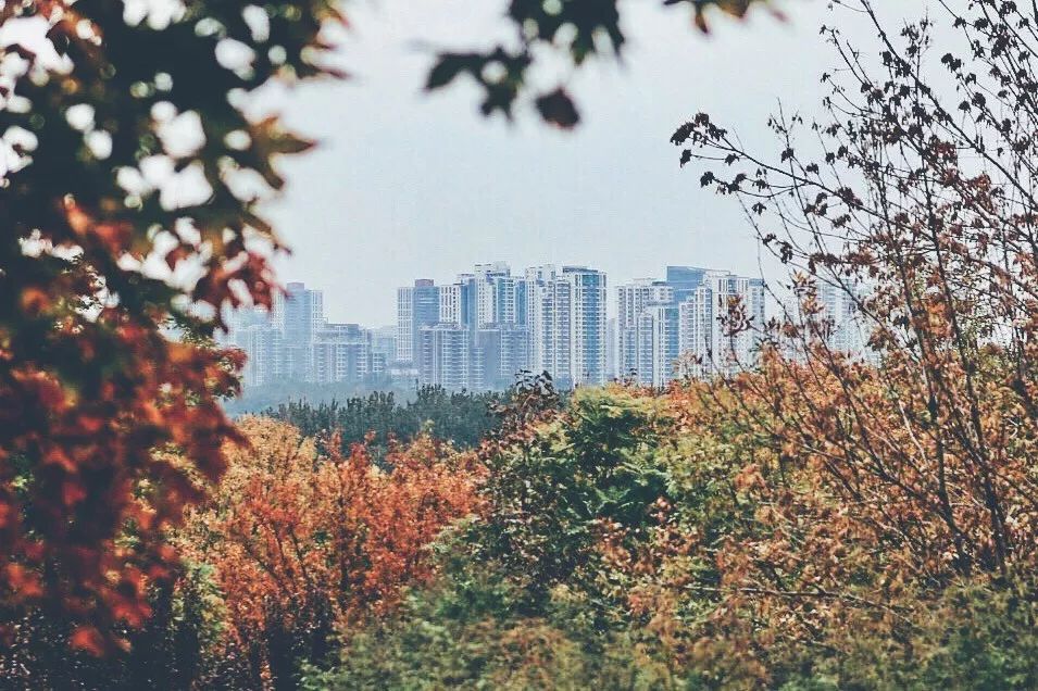 手机拍照构图方法和技巧,手机拍风景构图技巧