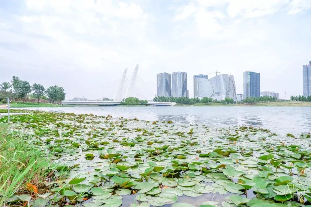 龙子湖沙滩游乐场在什么位置,蚌埠龙子湖网红沙滩多少钱