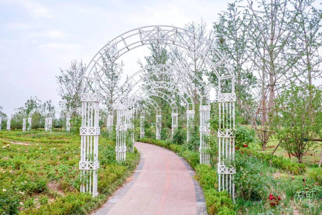 龙子湖沙滩游乐场在什么位置,蚌埠龙子湖网红沙滩多少钱