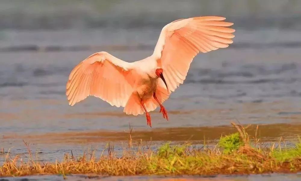 陕西2018年被评全国最美十二个县,陕西最美县域