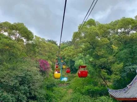 福州值得玩的地方推荐,福州有哪些值得一去的景点