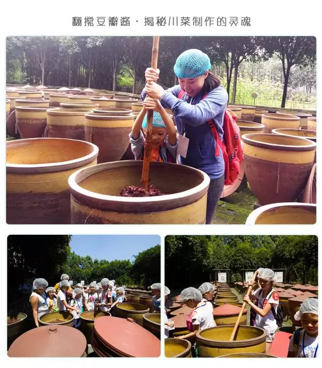 大熊猫铲屎官,都江堰熊猫谷铲屎官报名