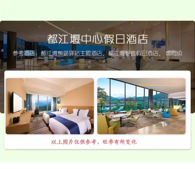 大熊猫铲屎官,都江堰熊猫谷铲屎官报名