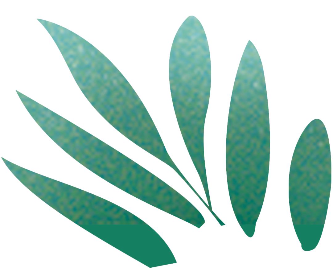 「直通校园」摘金夺银,赛场从不缺少“真英雄”——万柏林区兴华西街小学