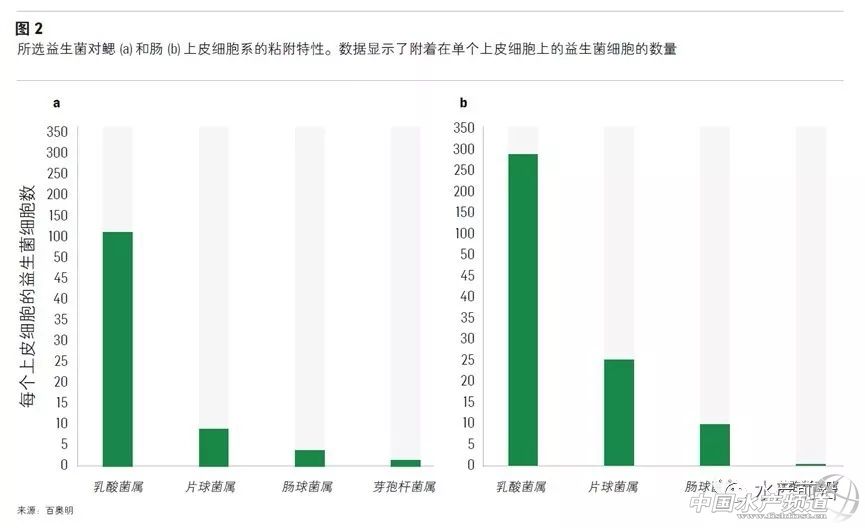 水产养殖用什么益生菌好,水产养殖复合益生菌