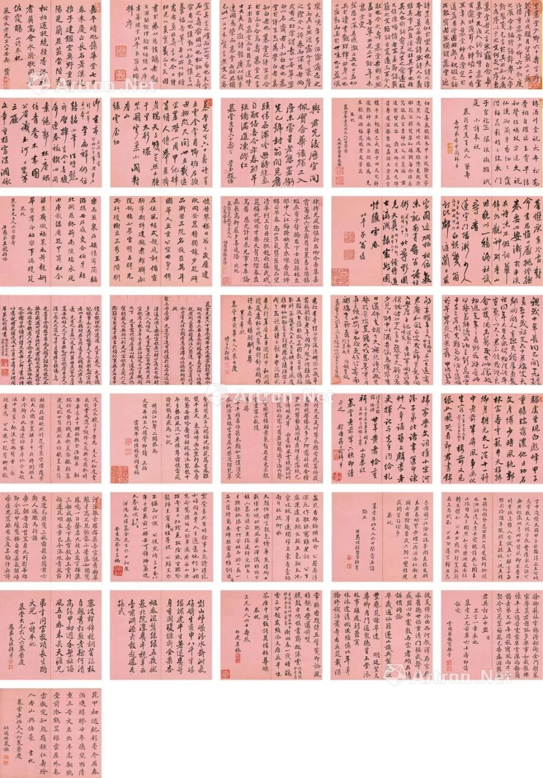 未来之星，缤纷摇曳！帽哥出品