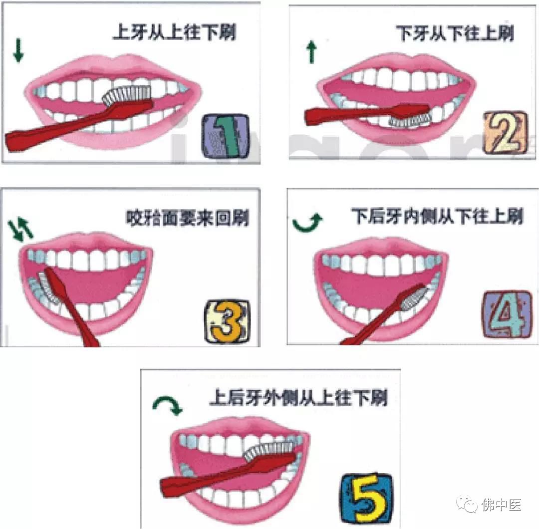 乳牙龋齿的危害及预防医师在线,有关乳牙龋病的预防