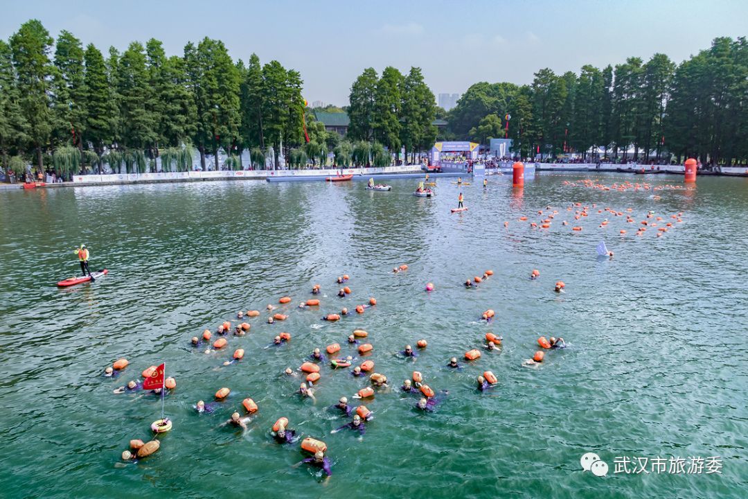 来武汉读书第一年,来武汉上大学的理由