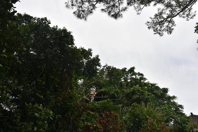 冲绳岛上的人间仙境,冲绳城市