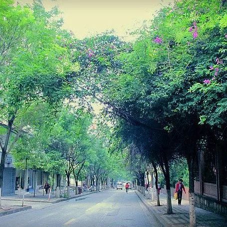 城味|翠湖：蕴含文化的“眼睛”更灵动