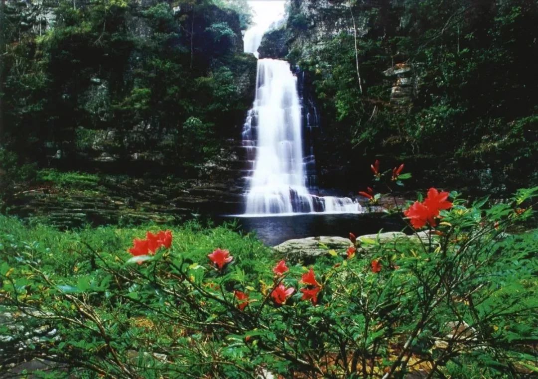 资讯|你所期待的山地运动飞行节来了，它就在“春花、夏瀑、秋云、冬雪”的大明山