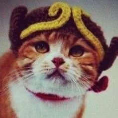 网购越南猪肉,越南炼奶包