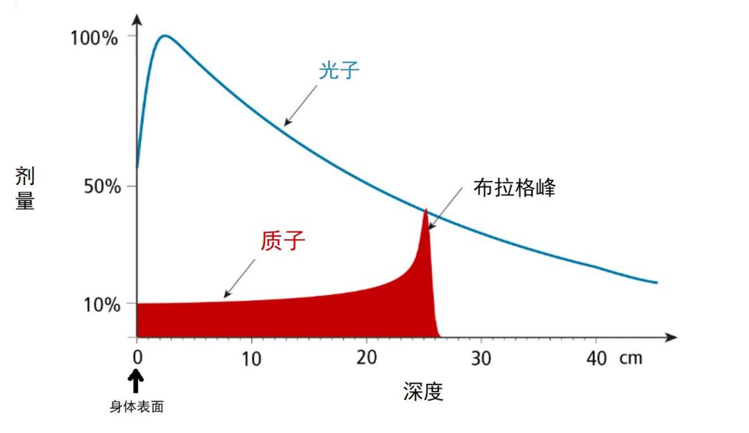 质子重离子治疗副作用大吗,质子治疗肿瘤副作用