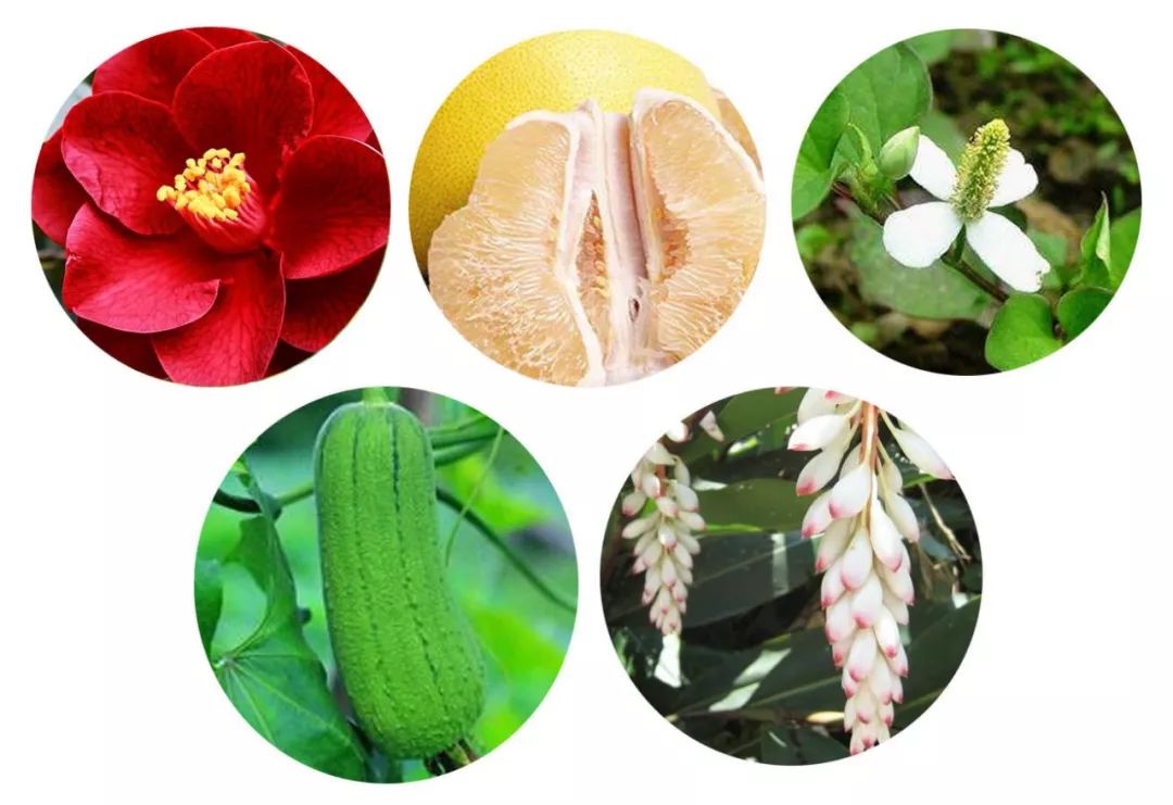 日本卸妆排名第一名,卸妆力最强的卸妆啫喱