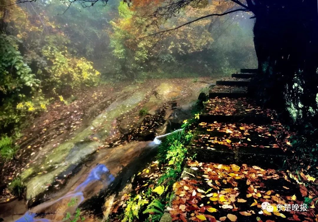 黄石天气热了有没有什么景点,黄石假期可去的风景区