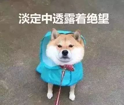 雅诗兰黛独一无二,雅诗兰黛顶级护肤品