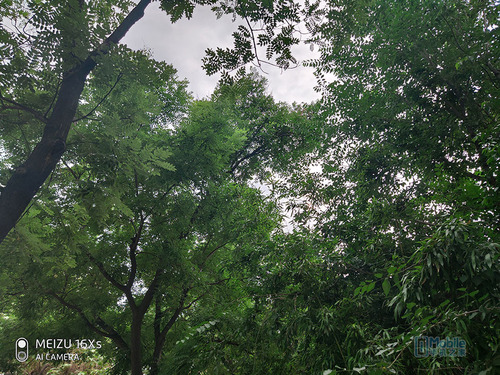 小而美一定好吗,魅族16xs珊瑚橙评测