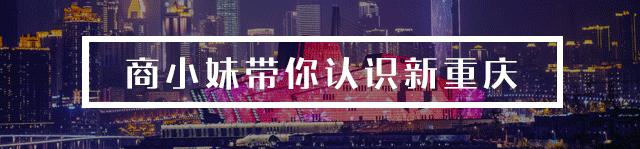 怎么来计算养老金交多少个月了,养老金实际缴纳和累计缴纳不一样